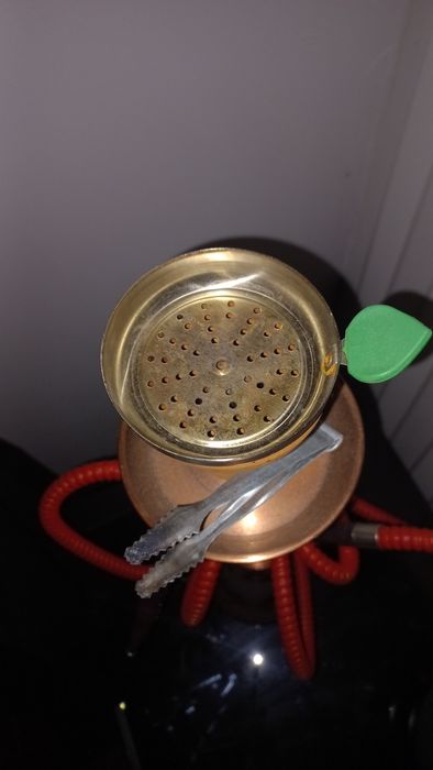 Chicha red camel