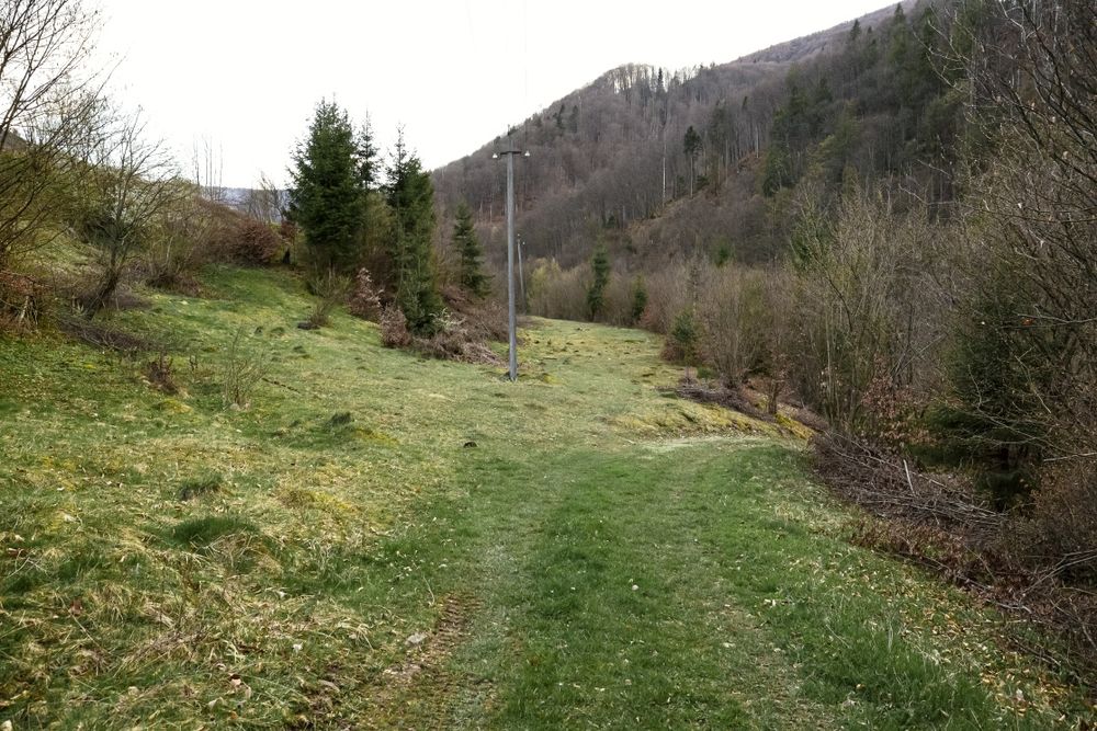 Продаж земельної ділянки в горах Закарпаття