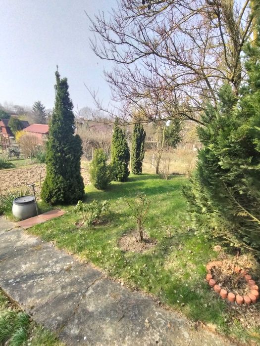 Sprzedam Dzialke 300m . Gorki Ustowskie ul. Poludniowa Szczecin - Widok 3