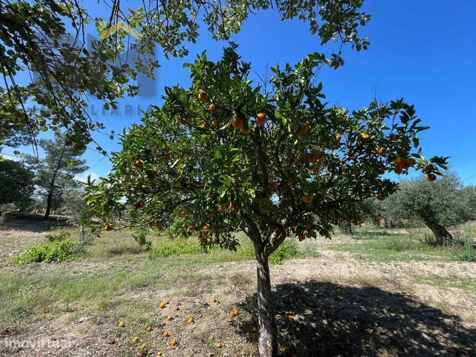 Terreno de 4000m² à Venda em Freixial do Campo