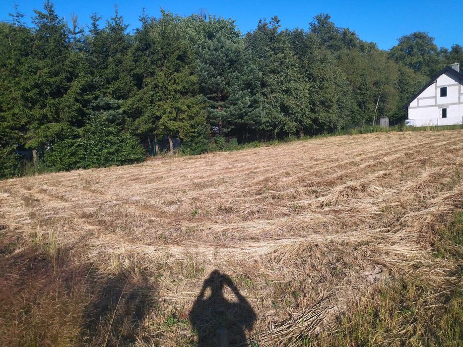 Działka budowlana Nasutów aleja lipowa - Więcej
