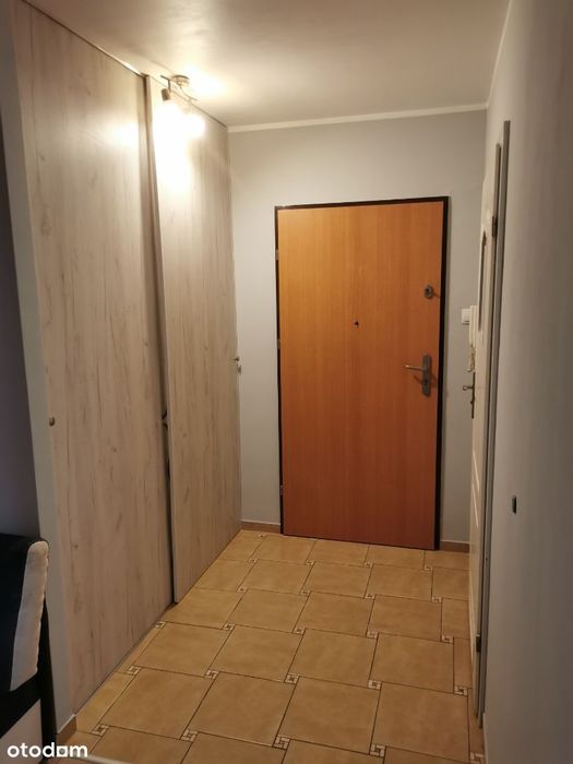 Przestronna kawalerka w centrum Wrocławia (33 m2)