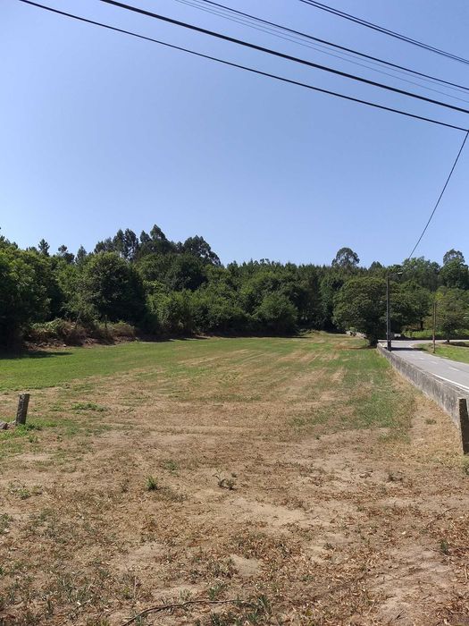 Terreno com 3.420 m2 em Bordonhos