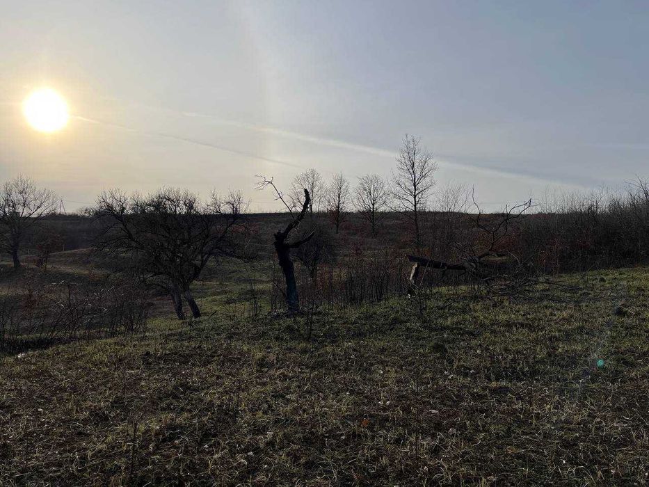 Продається земельна ділянка, смт Середнє Код: 43367
