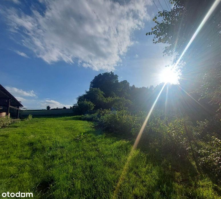 Wyjątkowy Dom Otulony Zielenią