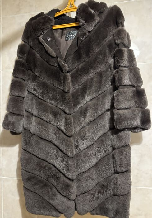 Шиншилловий кролик Рекс