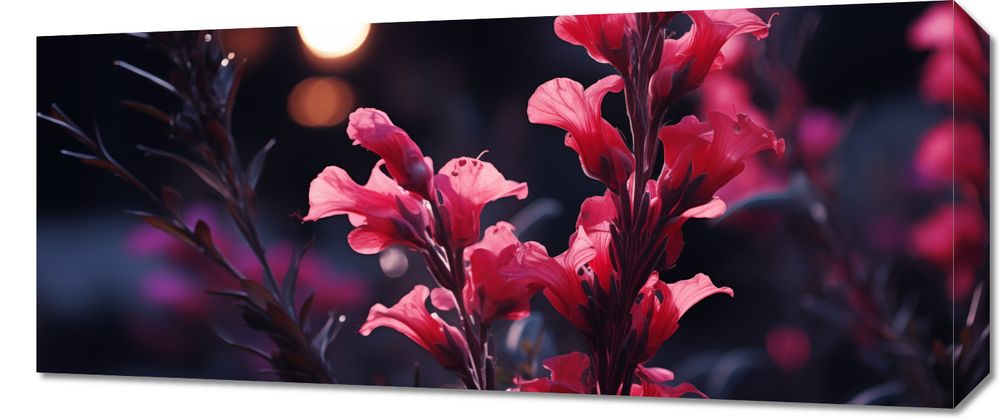 Obraz 70x30cm Wieczorny Blask