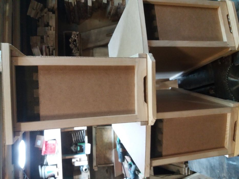 Бджолопакети (роєловки)