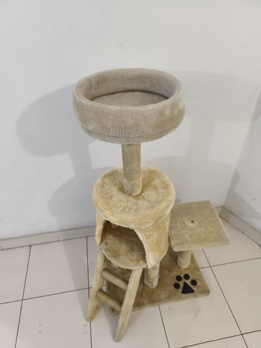 Arranhador para gatinhos
