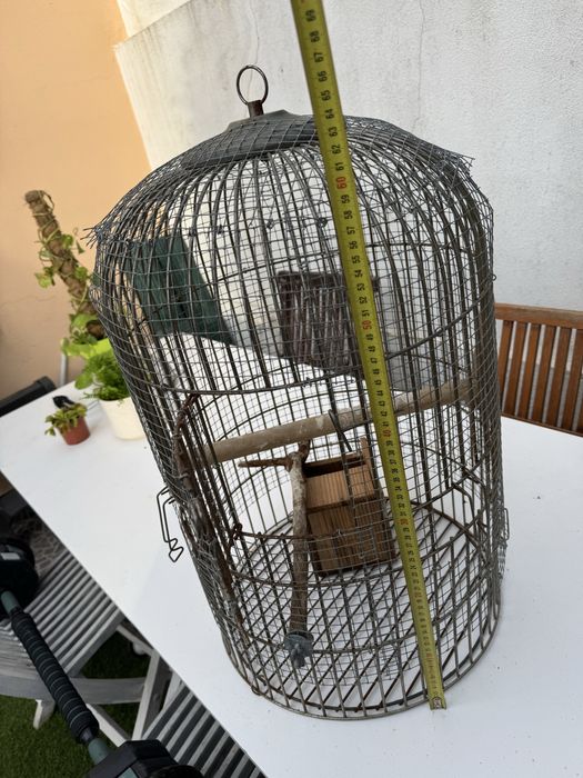 Gaiola de ferro em bom estado