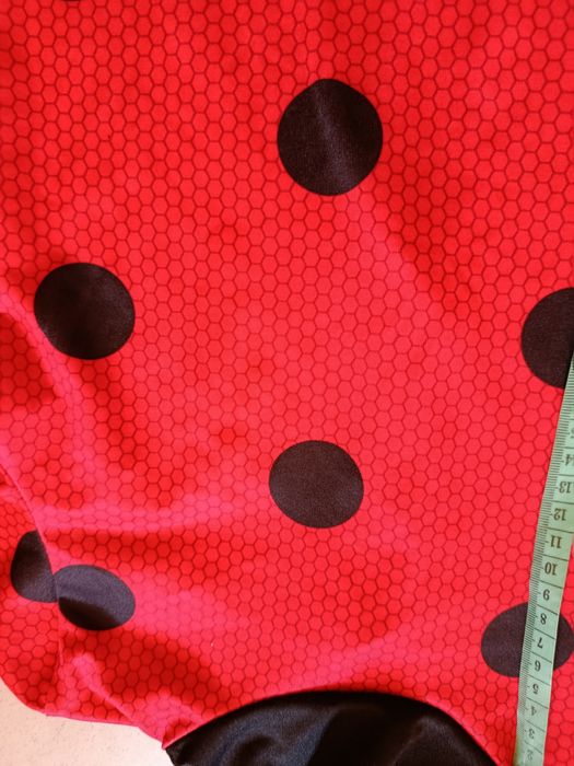 Strój karnawałowy Biedronka na 3-4 lata,98-104 cm