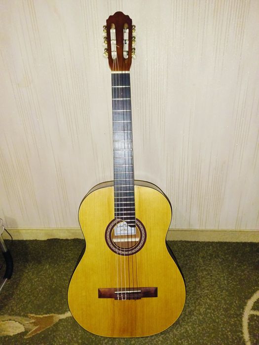 Гітара  Leo Tone L10