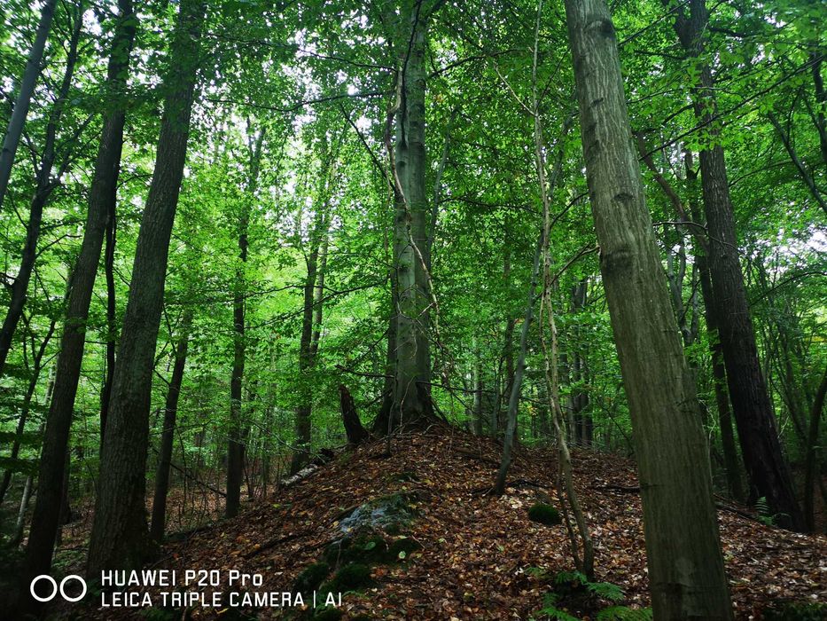 Włosań, gmina Mogilany.