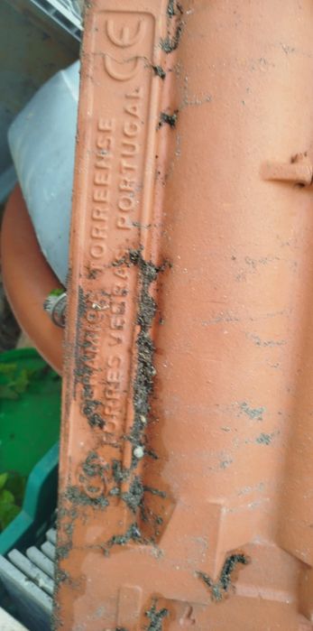 Telha Torreense nova