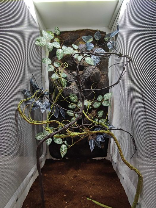 Terrarium nr716  tropikalne dla kameleona 50/50/100 DOSTĘPNE