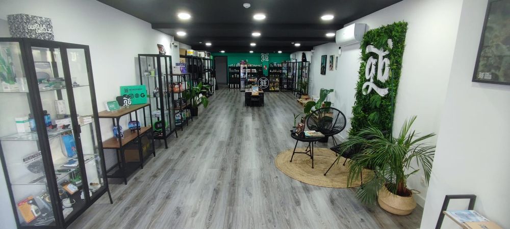 Oportunidade de Negócio / Trespasse de loja no centro de Lisboa