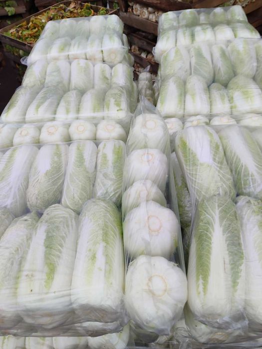 Пекінську капусту потребую на постійній основі