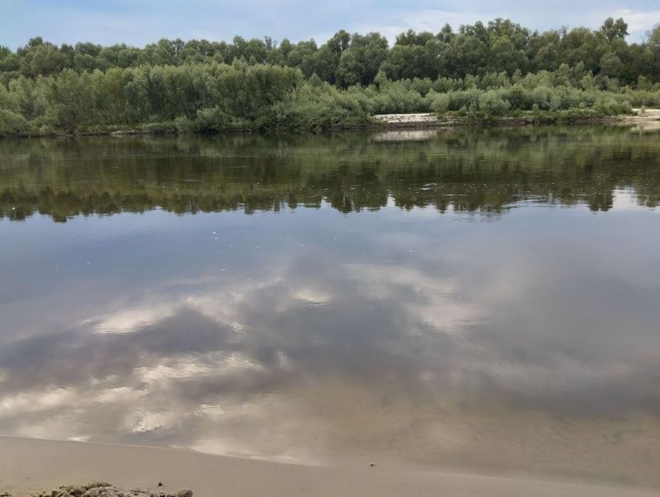 Оренда будиночка біля Десни с. Рожни!