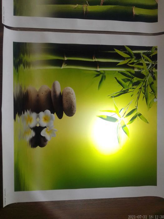 Telas modernas com bambus64585247646851124