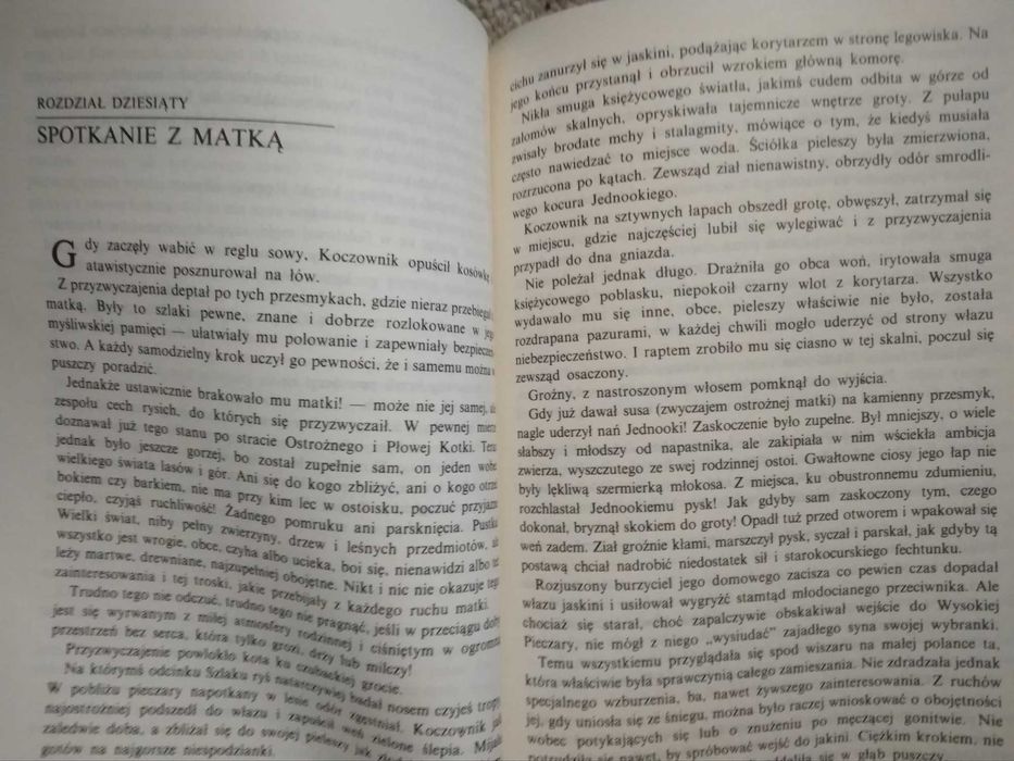 Władca Doliny Morskiego Oka Karpowicz Tytus wyd 1988
