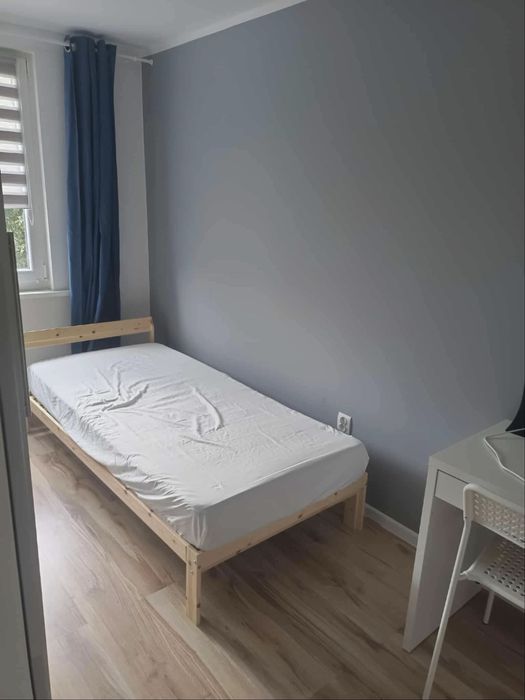 Pokój na wynajem Powstańcow Śląskich/Hallera