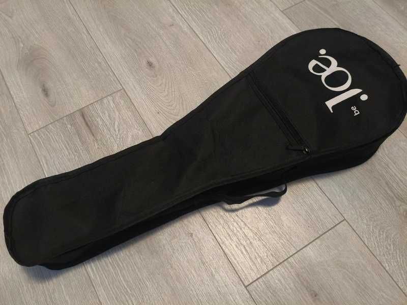 Ukulele Aria electro concert