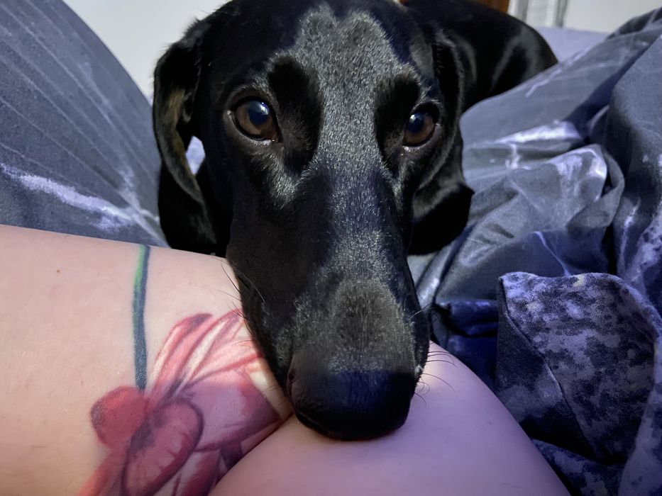 Вʼязка такси