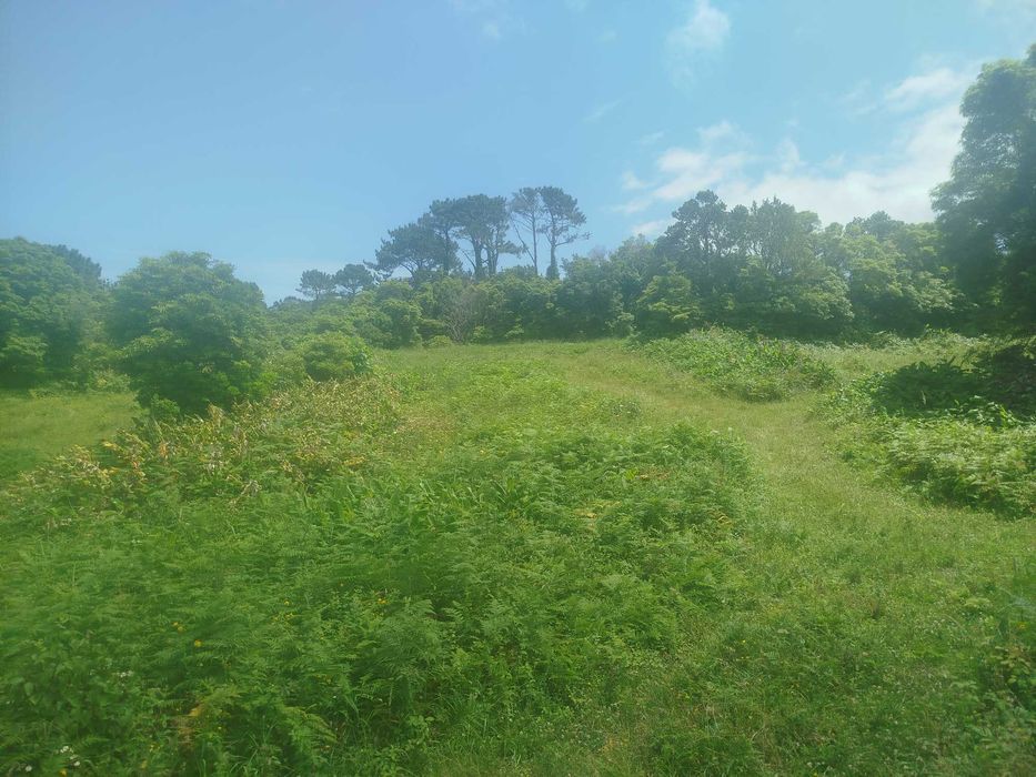 Terreno Pinheira - Rua da Bragada - Santo António