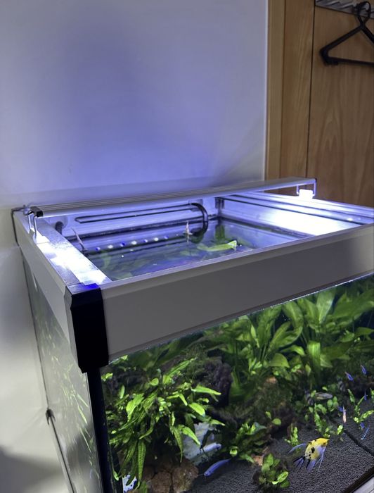 Aquário Cubo 60x60x60cm