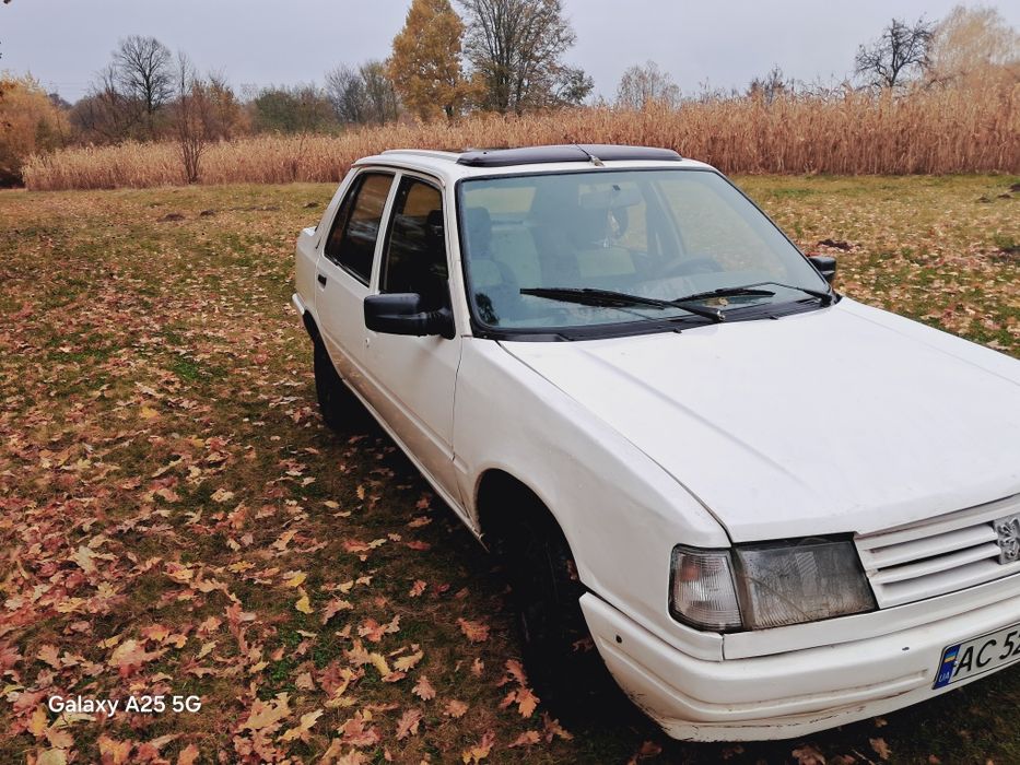 Peugeot 309 на повному ходу
