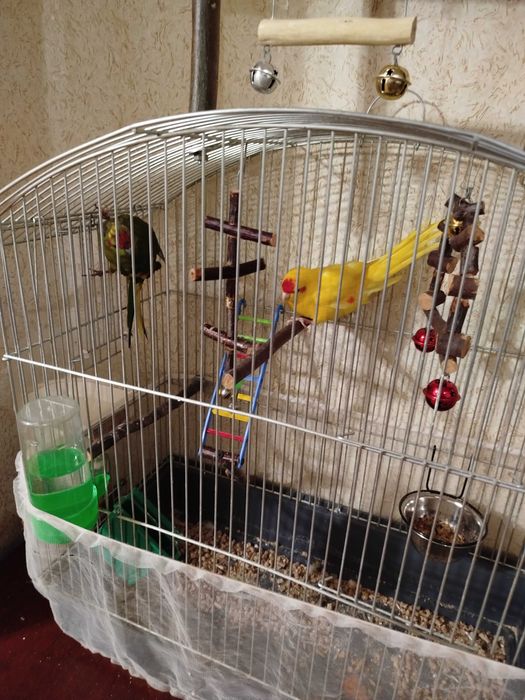 Продам клетки (какарики)