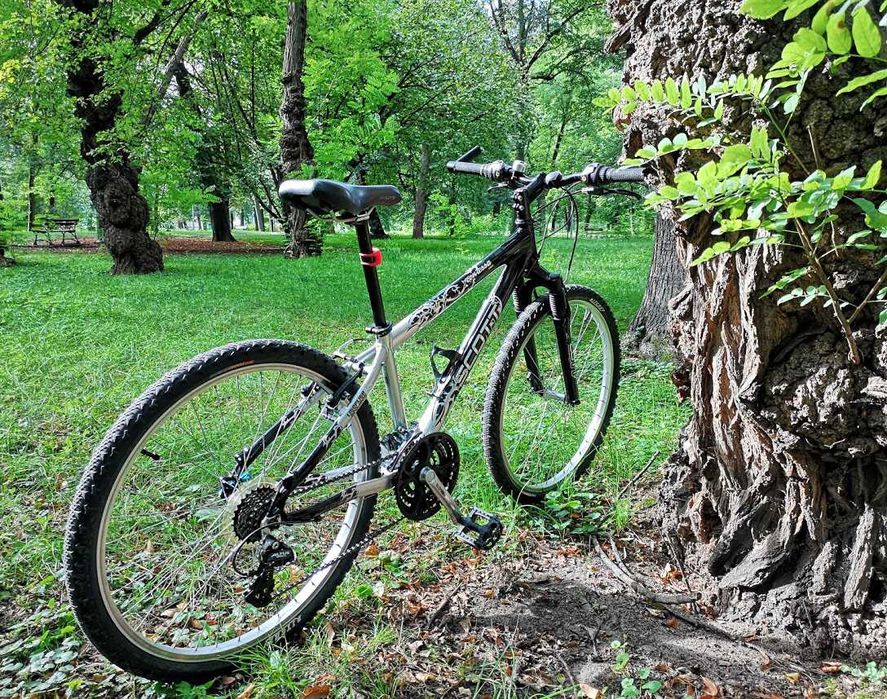 Rower Scott contessa MTB  26"