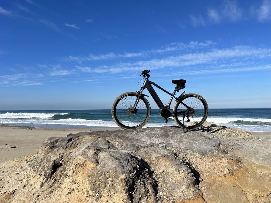 Conor Borneo electrica (M)