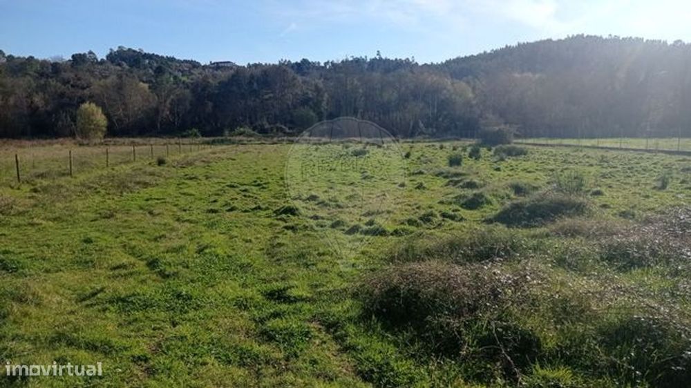 Terreno  para venda — Caxarias, Santarém