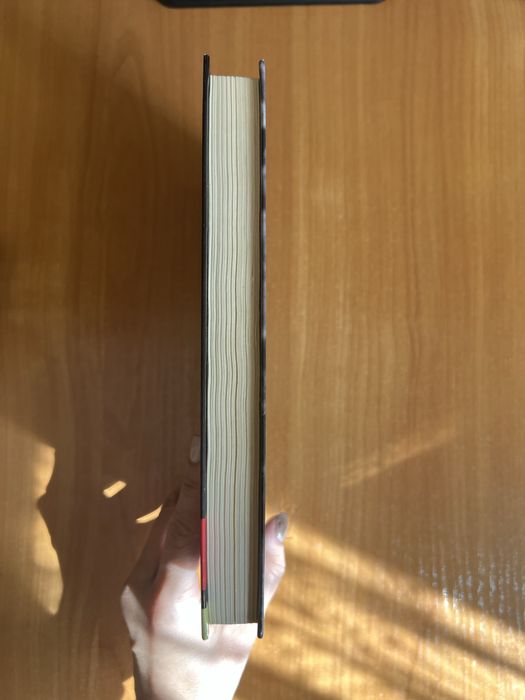 «Мати все», Люко Дашвар