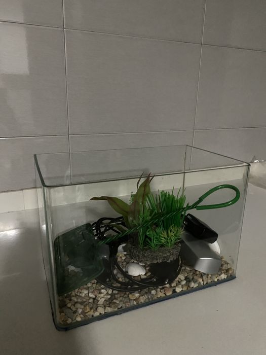 Aquário para peixes