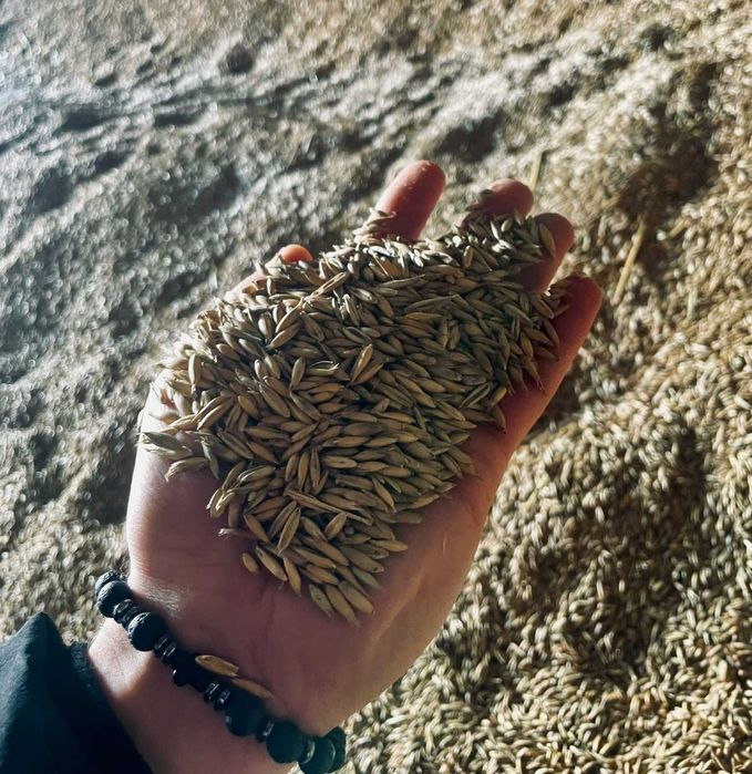 Owies na opał workowany 20kg, pellet, pasza,