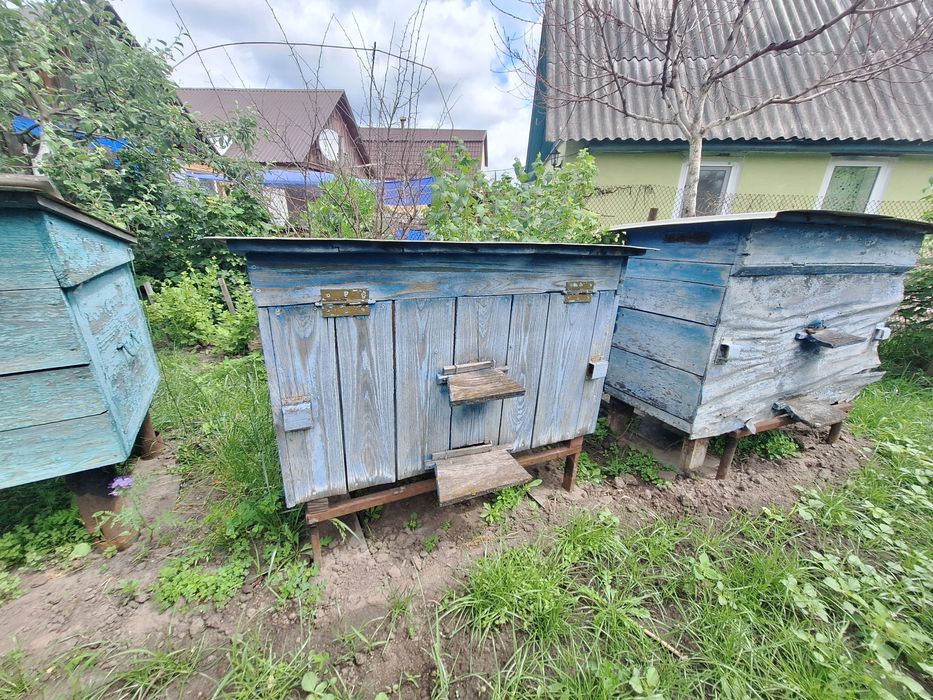 Продам гарні вулики