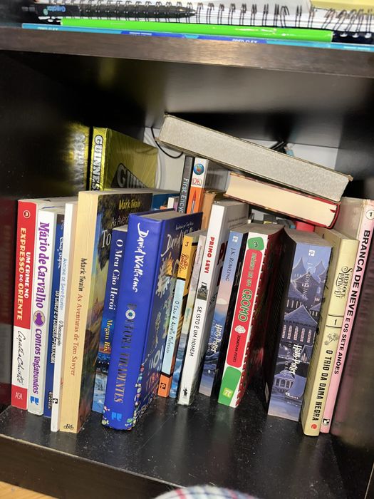 Diversos livros em portugues