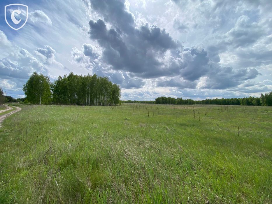 Ділянка 1,4 га біля Лебедівки за 8000