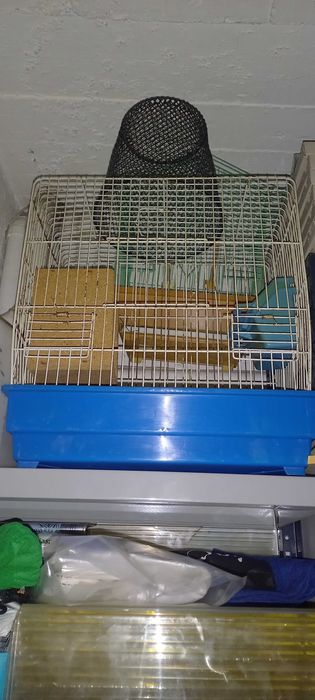 Gaiola para pássaros