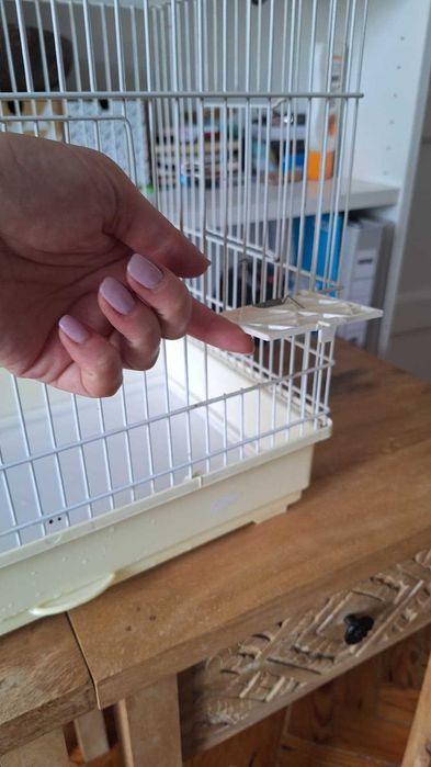 Gaiola para aves