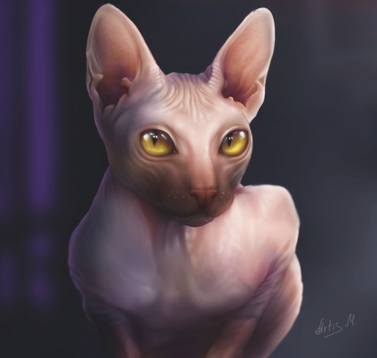Графічний планшет Wacom intuos art