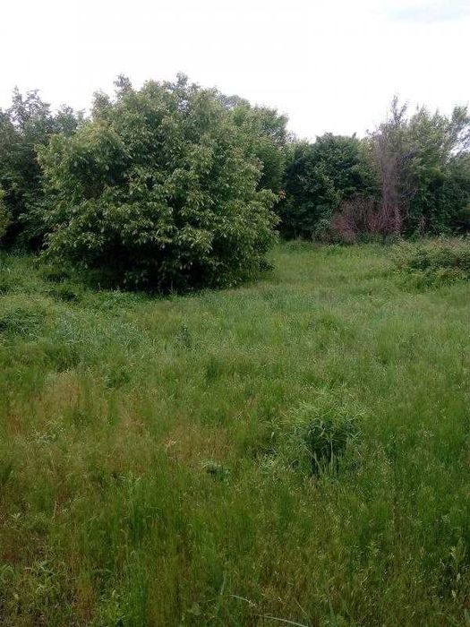 Продам ділянку з будинком під ремонт Баварія