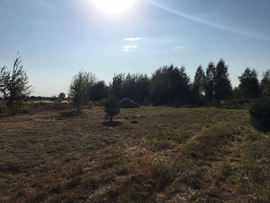 ПРОДАЮ ЗЕМЛЮ! Село Озерце. 12 сот.