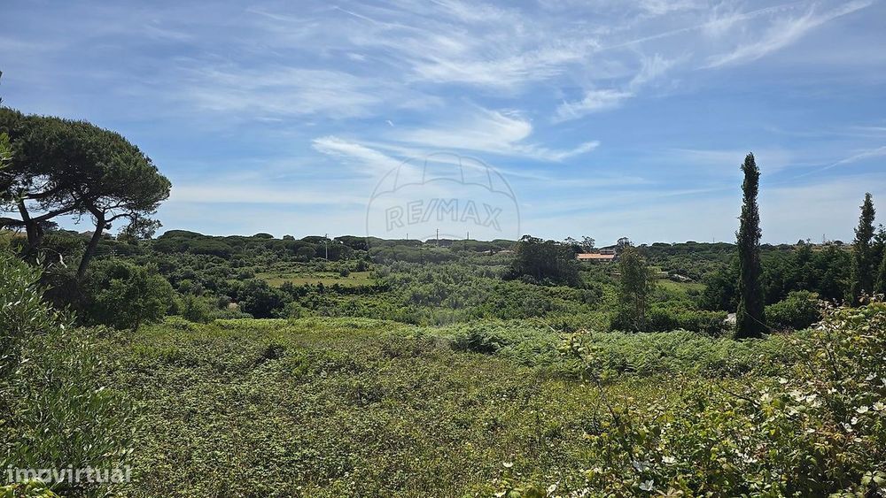 Terreno  para venda