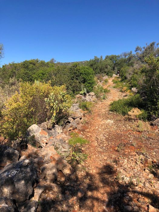 Troco terreno Rustico, p/T0 ou Garagem