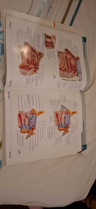 Livro Anatomia Netter