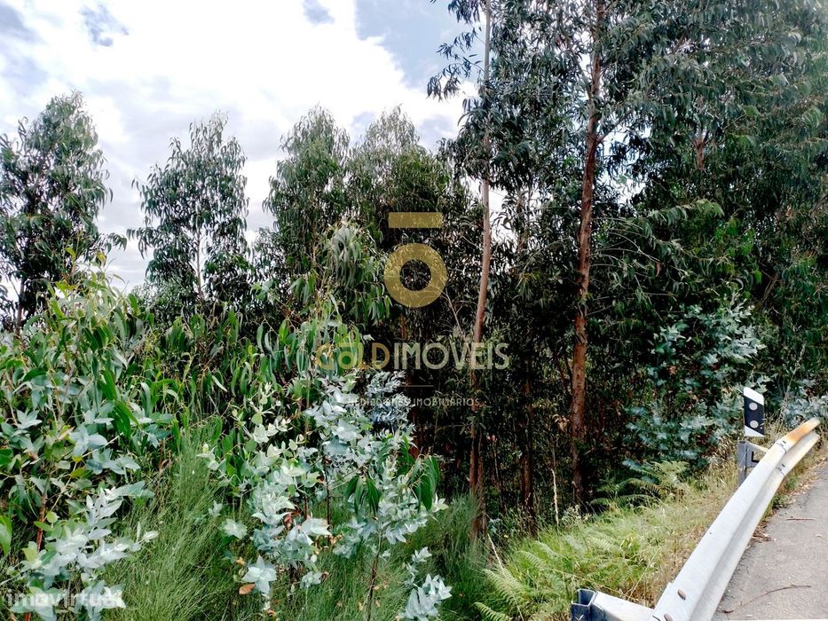 Rustic Land for Sale in Raiva, Pedorido and Paraíso, Castelo de Paiva
