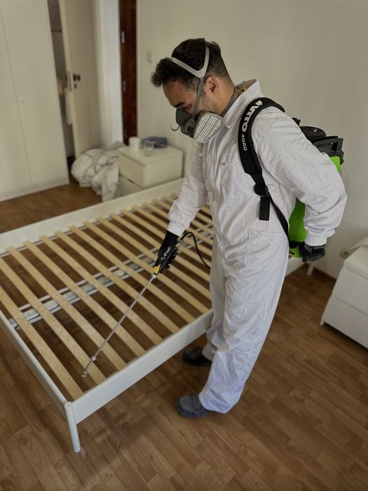 Desinfestacao PERCEVEJO BARATAS RATOS TERMITAS PULGAS